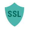 icons8 security ssl 96